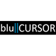 BluCursor Infotech Pvt Ltd Job Openings