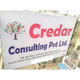 Credar Consulting India Pvt Ltd Job Openings