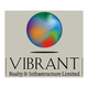 Vibrant Realty & Infrastructure limited Job Openings