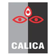 Calica Infosoft LLP Job Openings