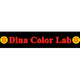 Dina Color Lab Job Openings