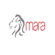 Mara Social Media (I) Pvt. Ltd.  Job Openings