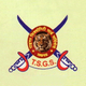 Tiger Security Services Pvt. Ltd. Job Openings